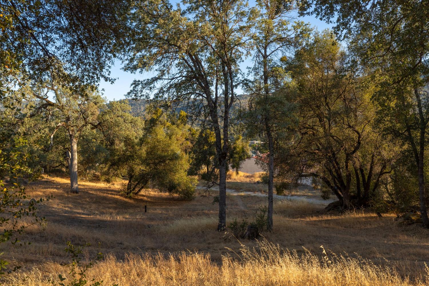 1 Junction Dr, Oakhurst, CA 93644