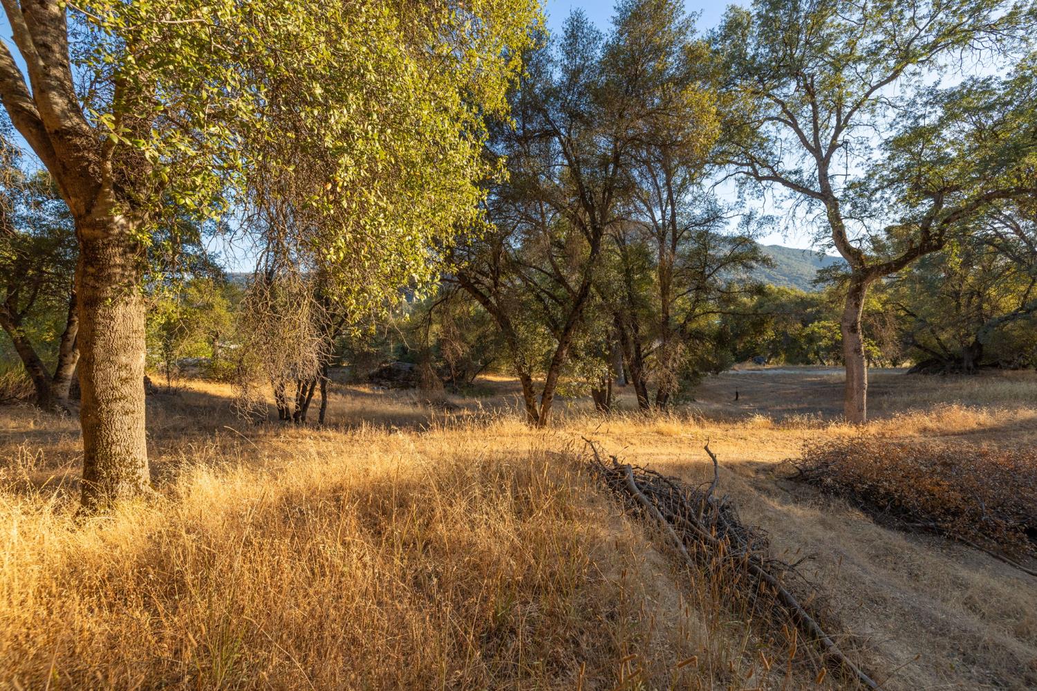 1 Junction Dr, Oakhurst, CA 93644