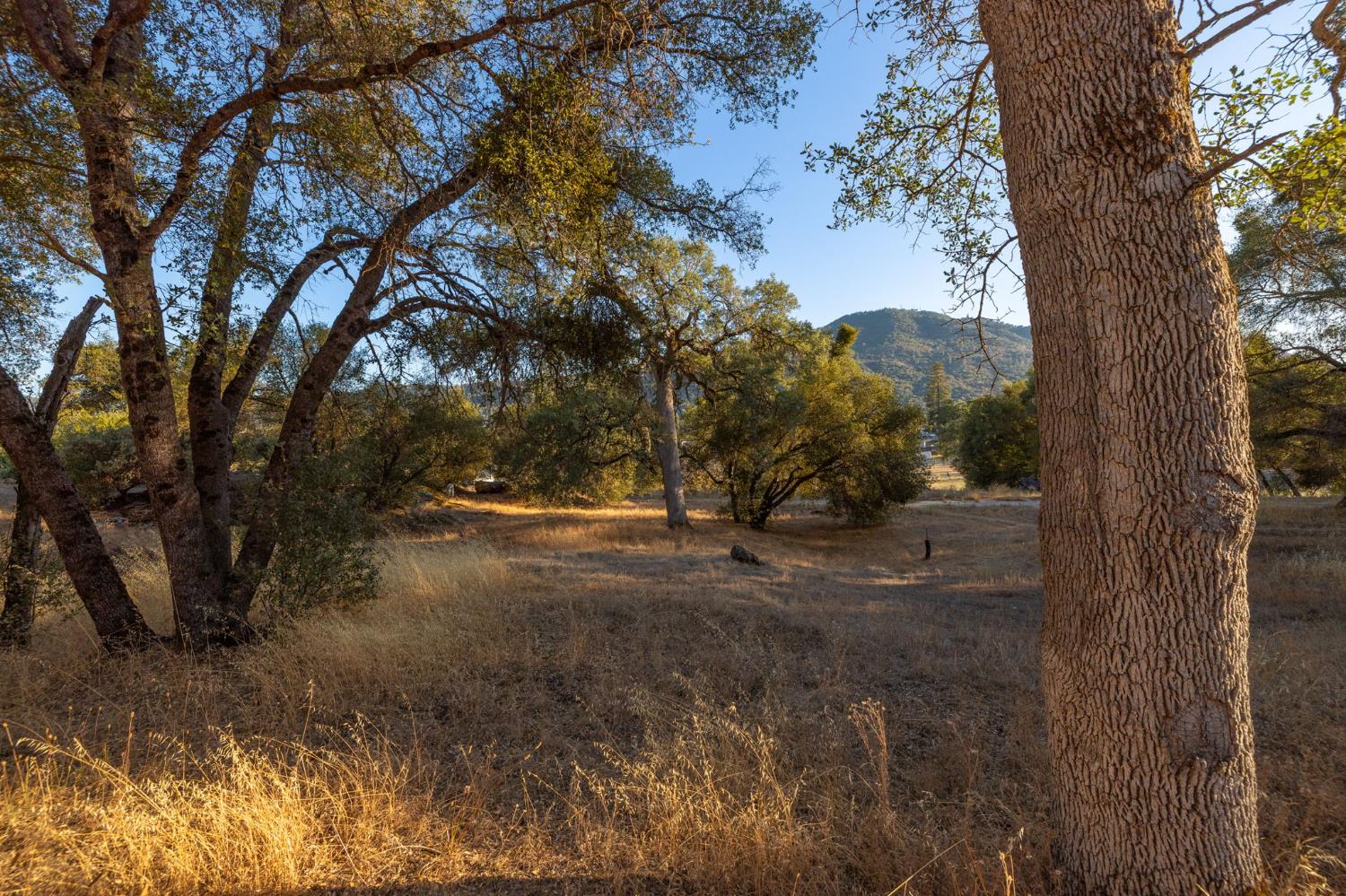 1 Junction Dr, Oakhurst, CA 93644