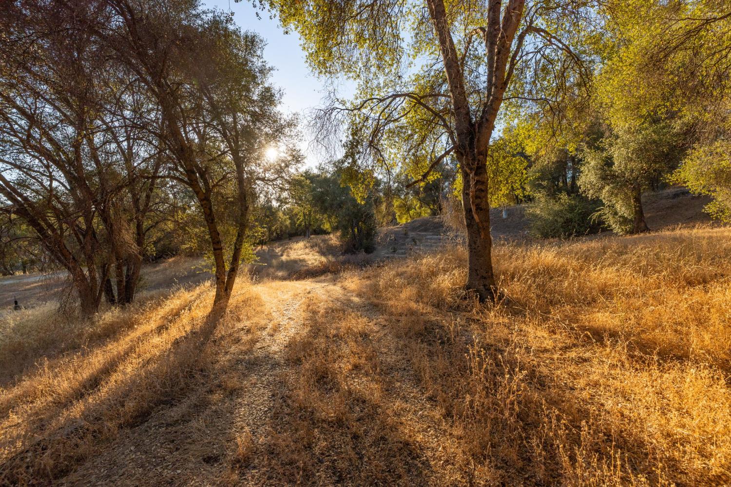 1 Junction Dr, Oakhurst, CA 93644