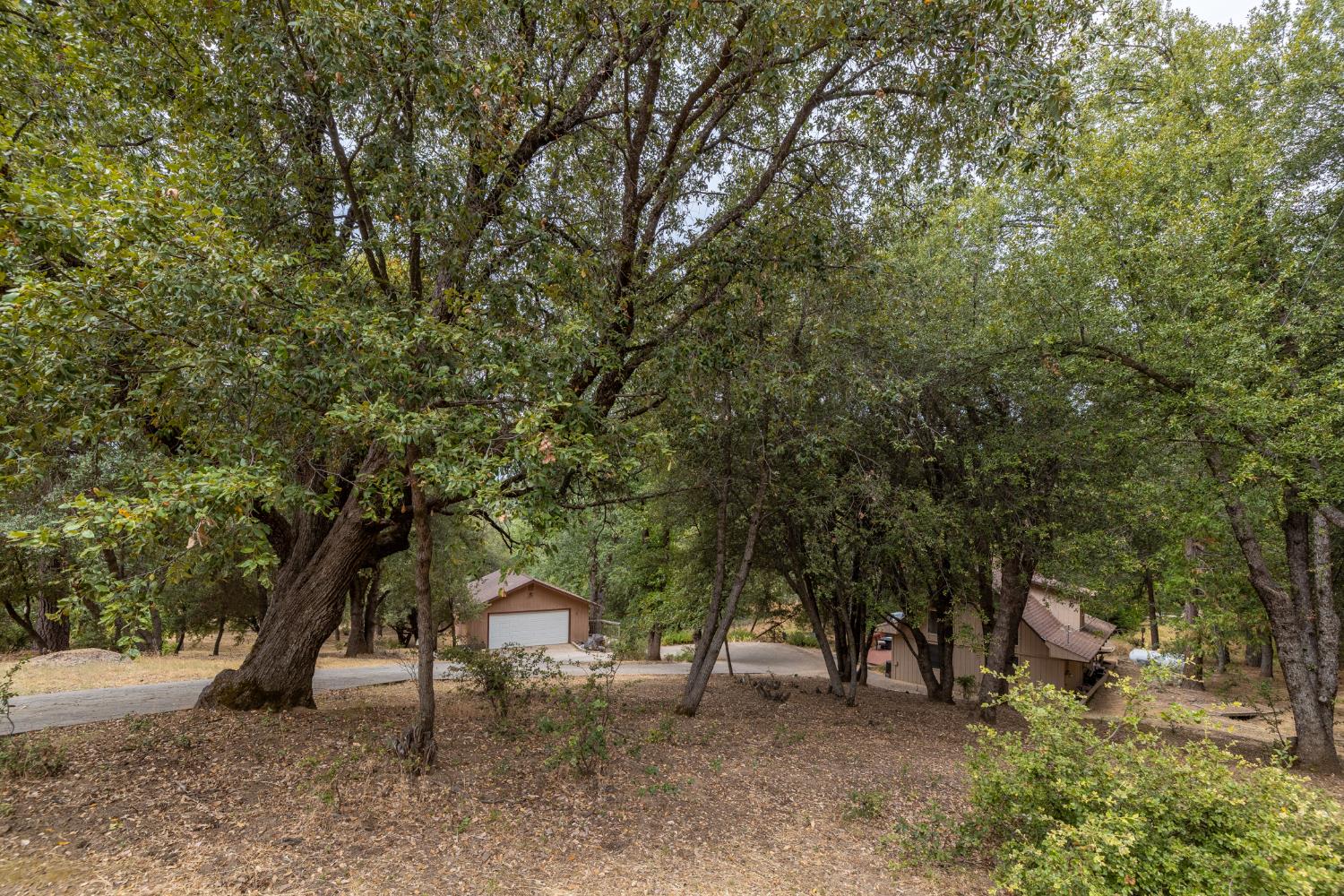 5655 Harris Cut Off Rd, Mariposa, CA 95338