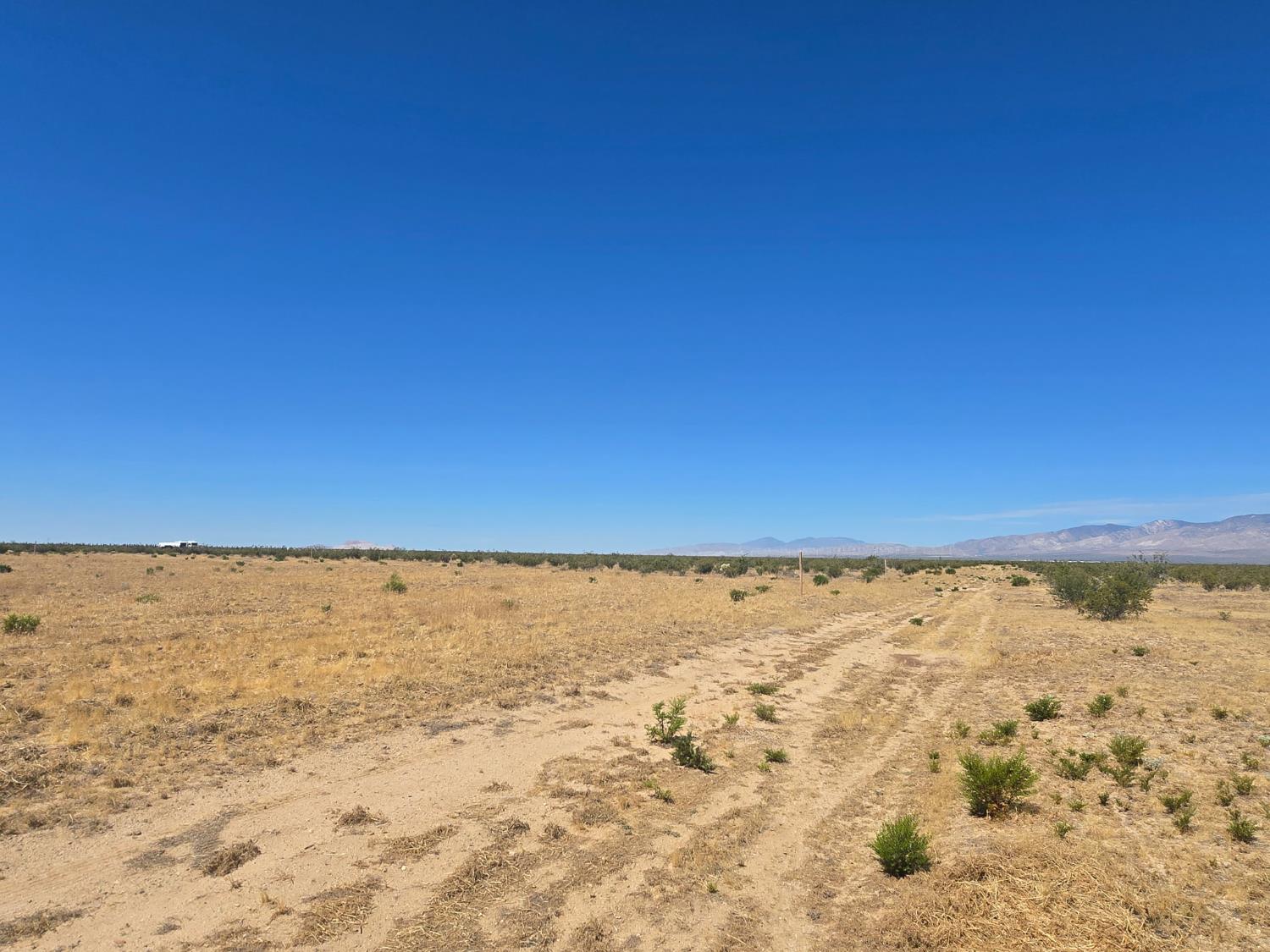 123 Lime Ave, California City, CA 93505