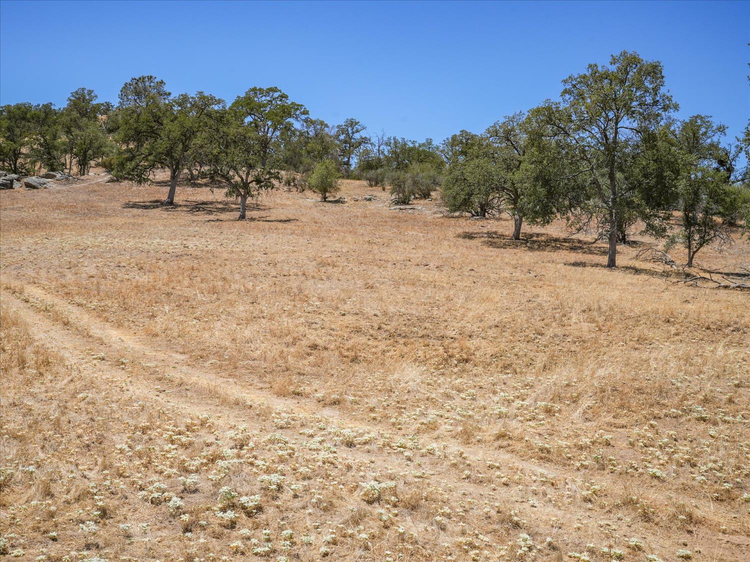0 20.64AC River Knolls Rd, Coarsegold, CA 93614