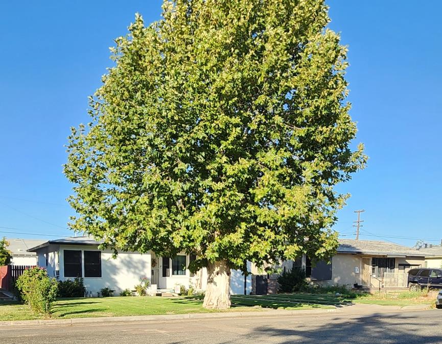 417 N O St, Madera, CA 93637