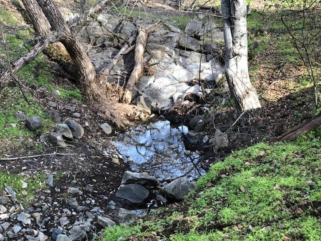 0 157 AC Mountain View Peak Rd, O neals, CA 93645