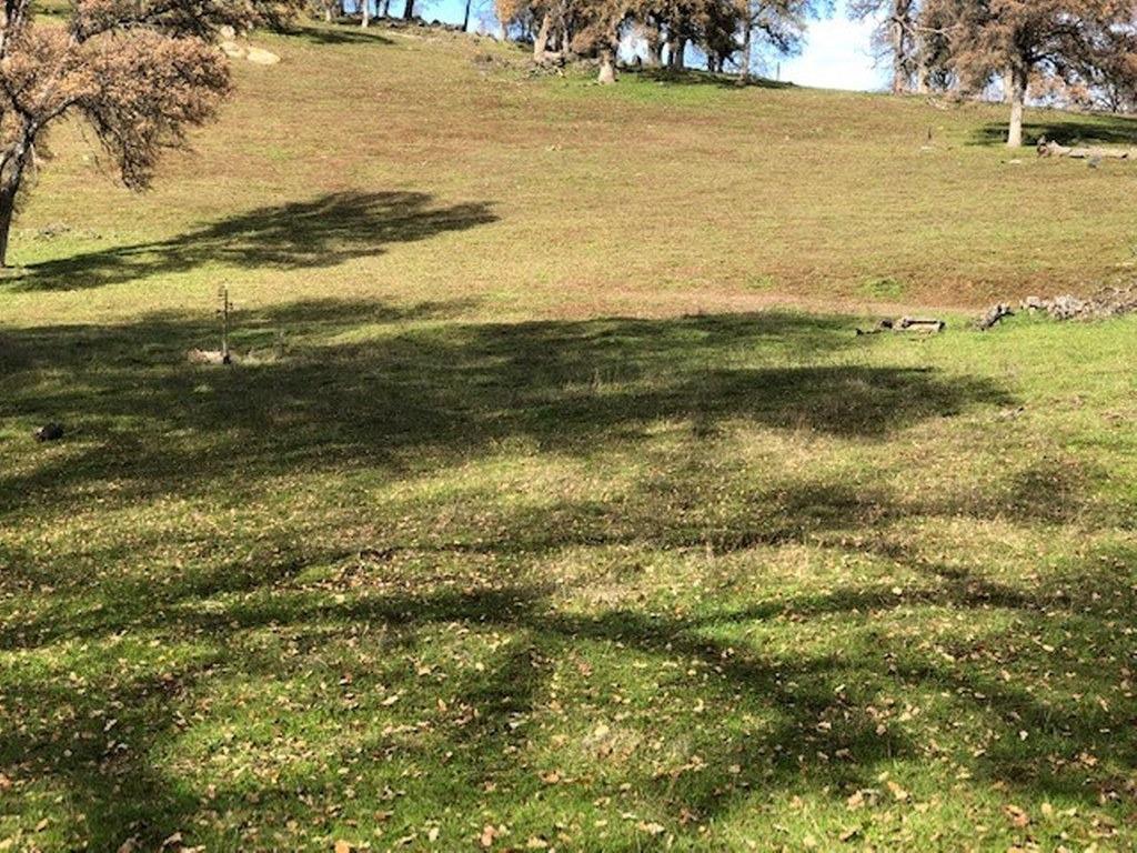 0 157 AC Mountain View Peak Rd, O neals, CA 93645