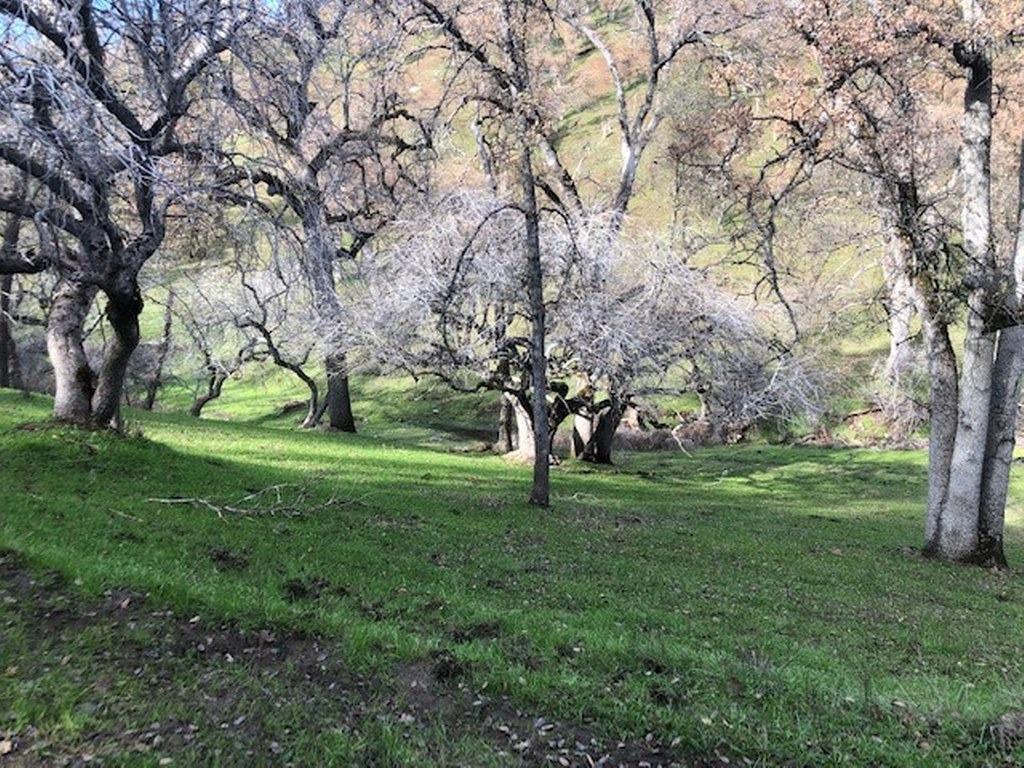 0 157 AC Mountain View Peak Rd, O neals, CA 93645