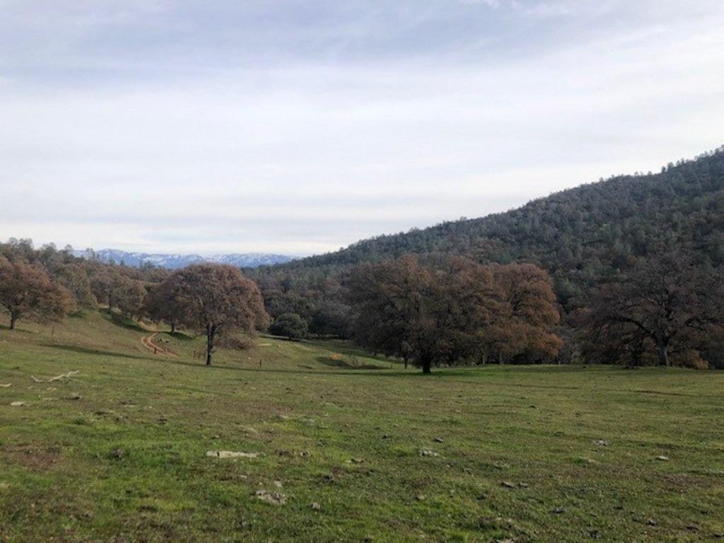 0 157 AC Mountain View Peak Rd, O neals, CA 93645