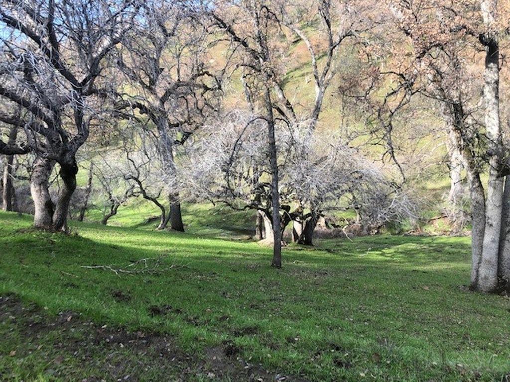 0 157 AC Mountain View Peak Rd, O neals, CA 93645