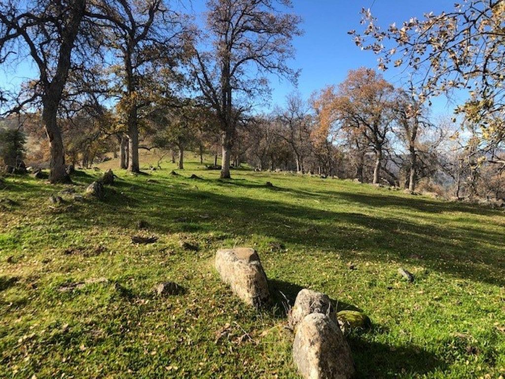 0 157 AC Mountain View Peak Rd, O neals, CA 93645