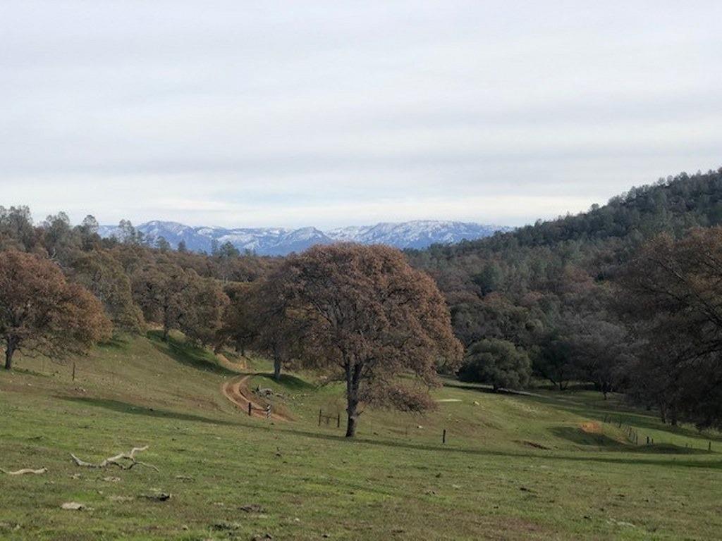 0 157 AC Mountain View Peak Rd, O neals, CA 93645