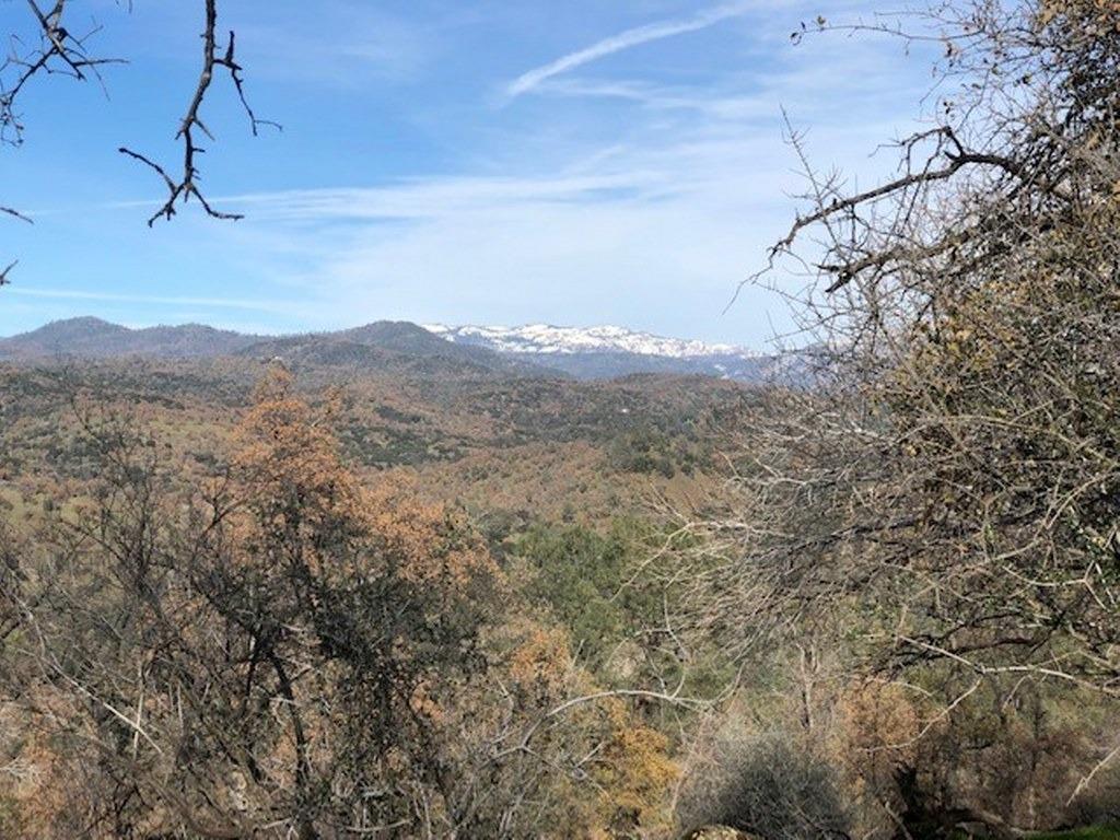0 157 AC Mountain View Peak Rd, O neals, CA 93645