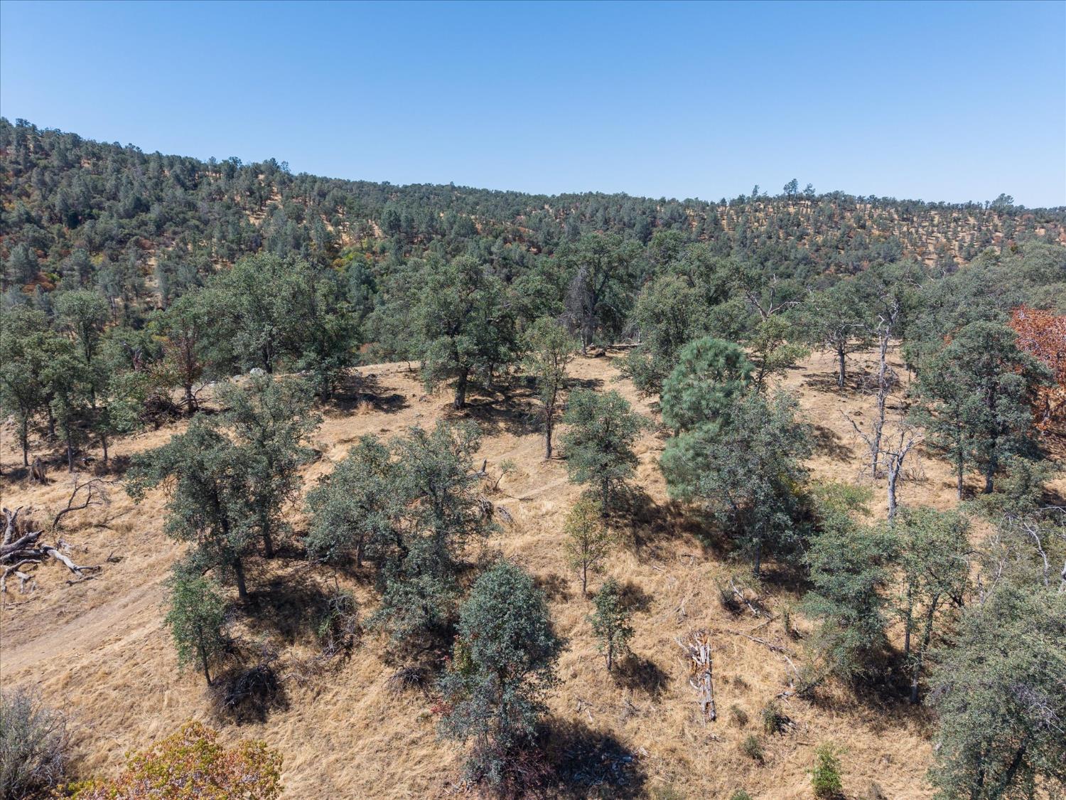 0 157 AC Mountain View Peak Rd, O neals, CA 93645