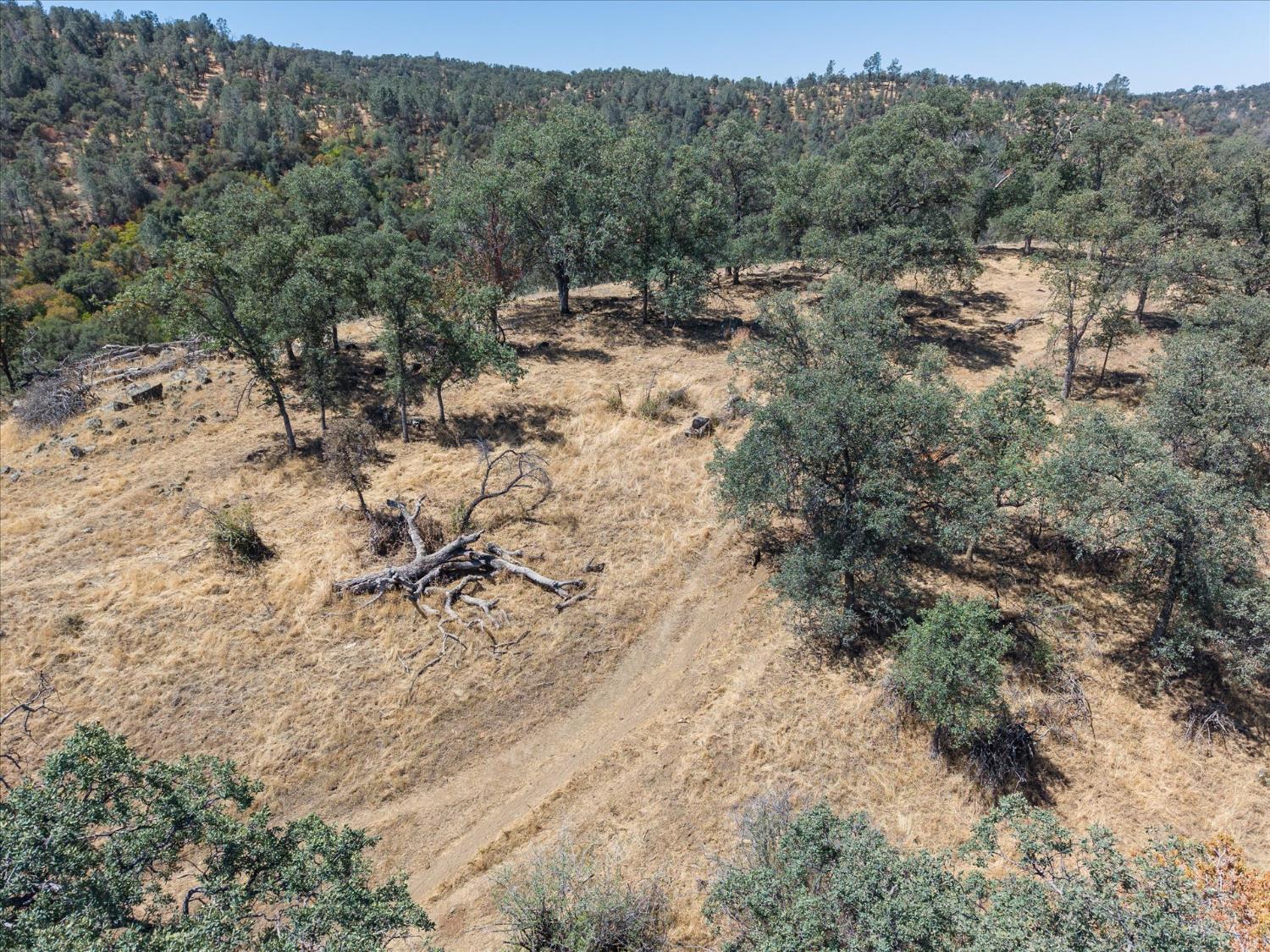 0 157 AC Mountain View Peak Rd, O neals, CA 93645