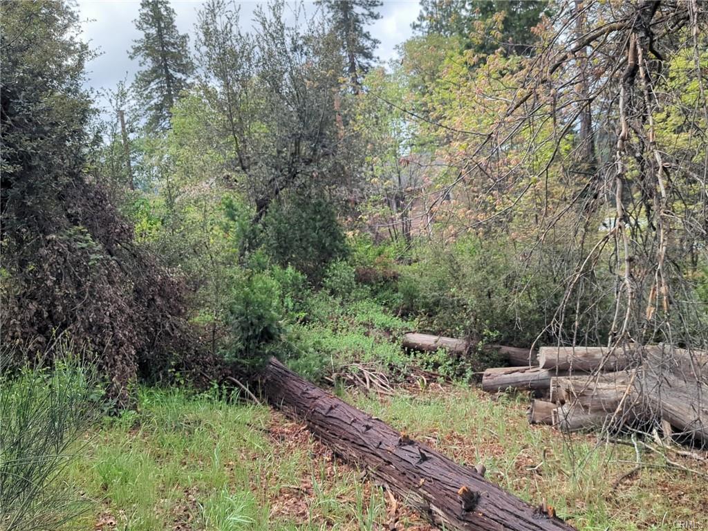 53309 Road 432, Bass Lake, CA 93604