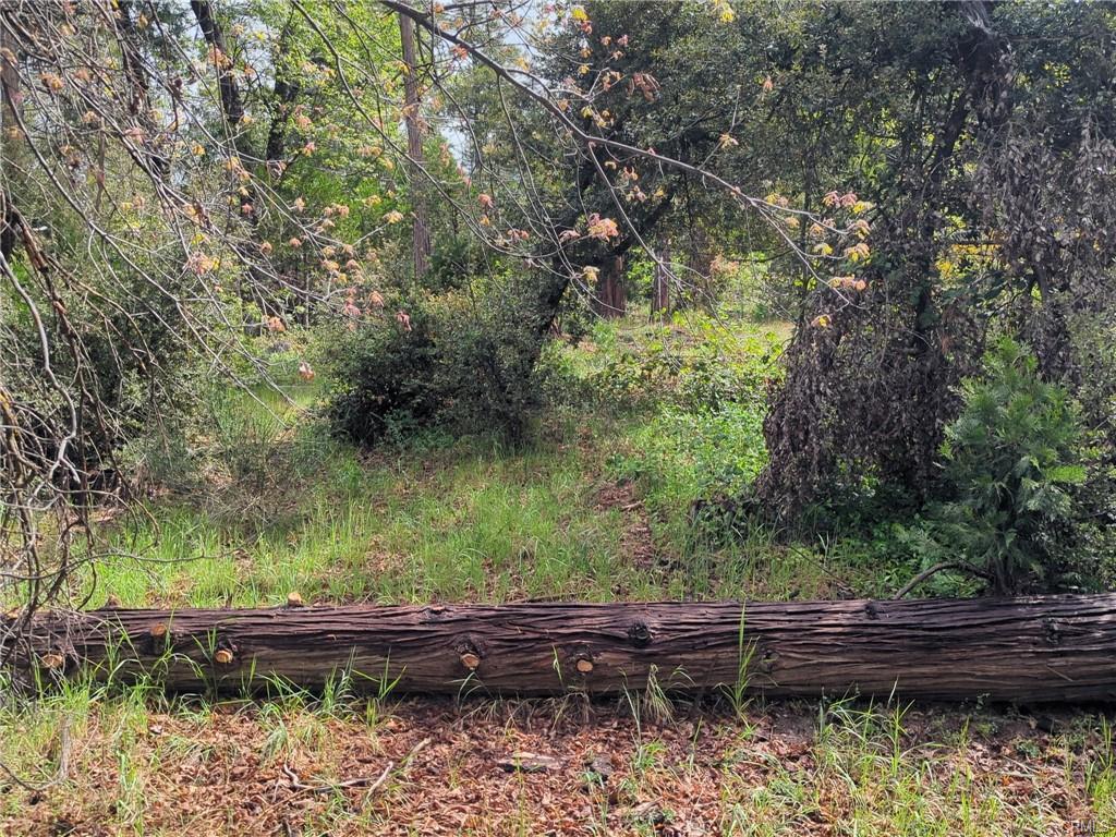 53309 Road 432, Bass Lake, CA 93604