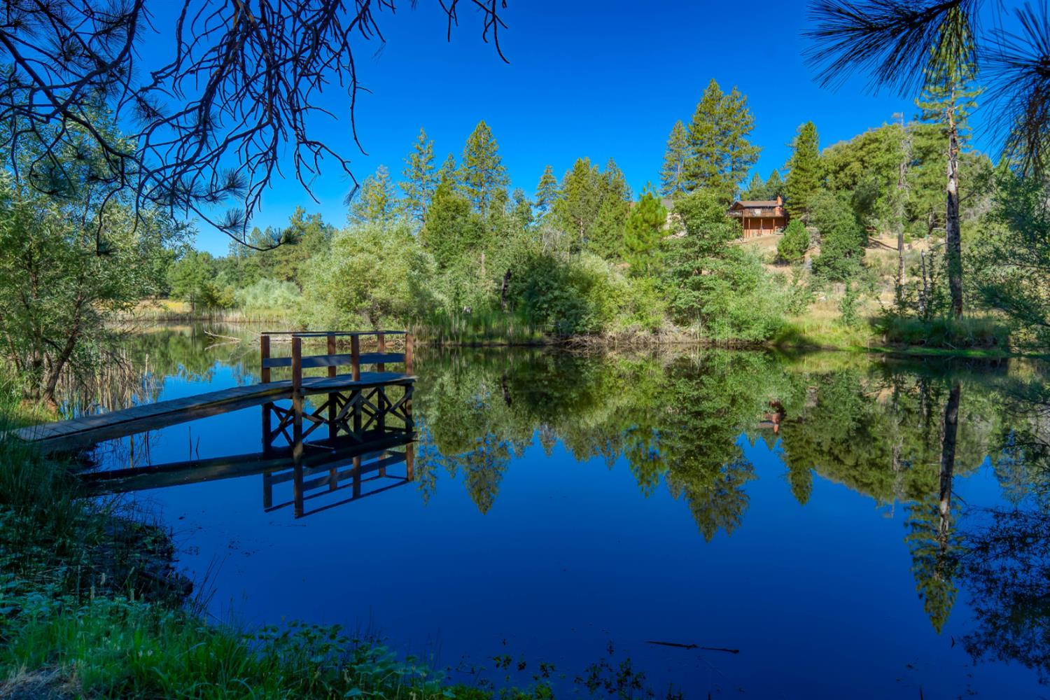 34315 Shaver Springs Rd, Auberry, CA 93602