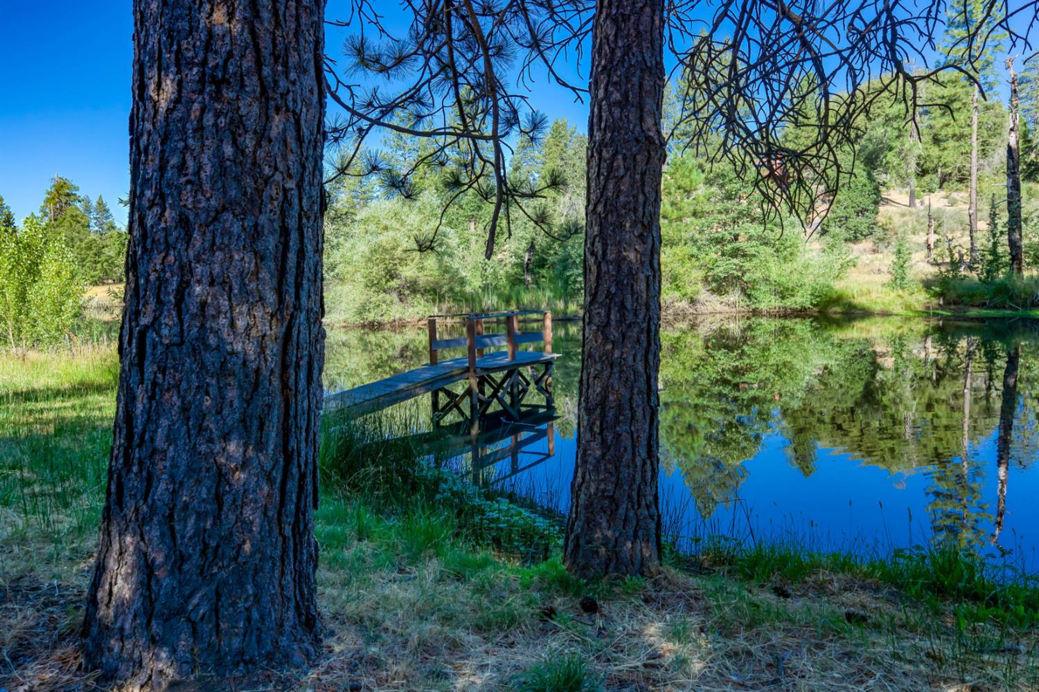 34315 Shaver Springs Rd, Auberry, CA 93602