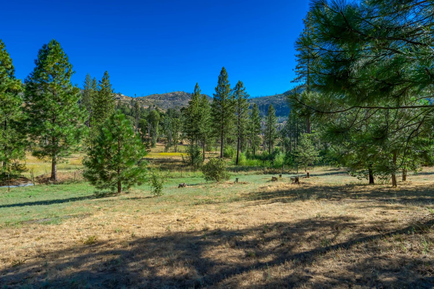 34315 Shaver Springs Rd, Auberry, CA 93602