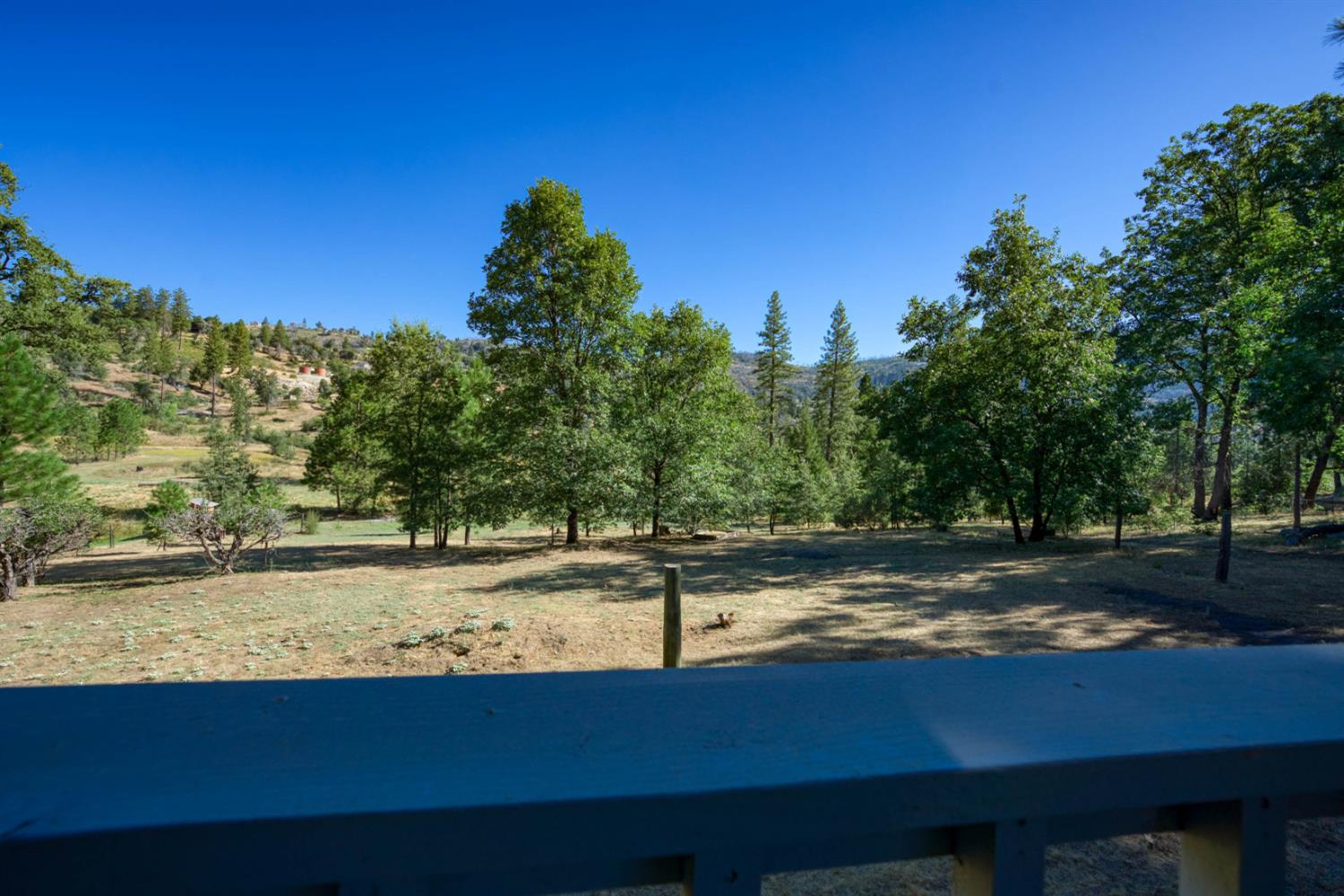 34315 Shaver Springs Rd, Auberry, CA 93602