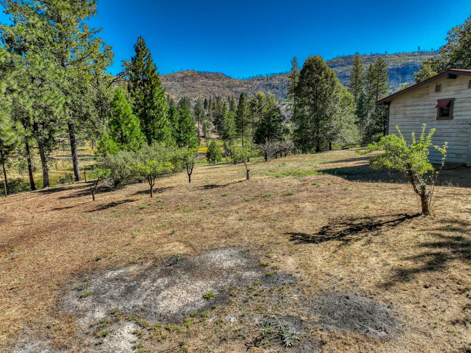 34315 Shaver Springs Rd, Auberry, CA 93602