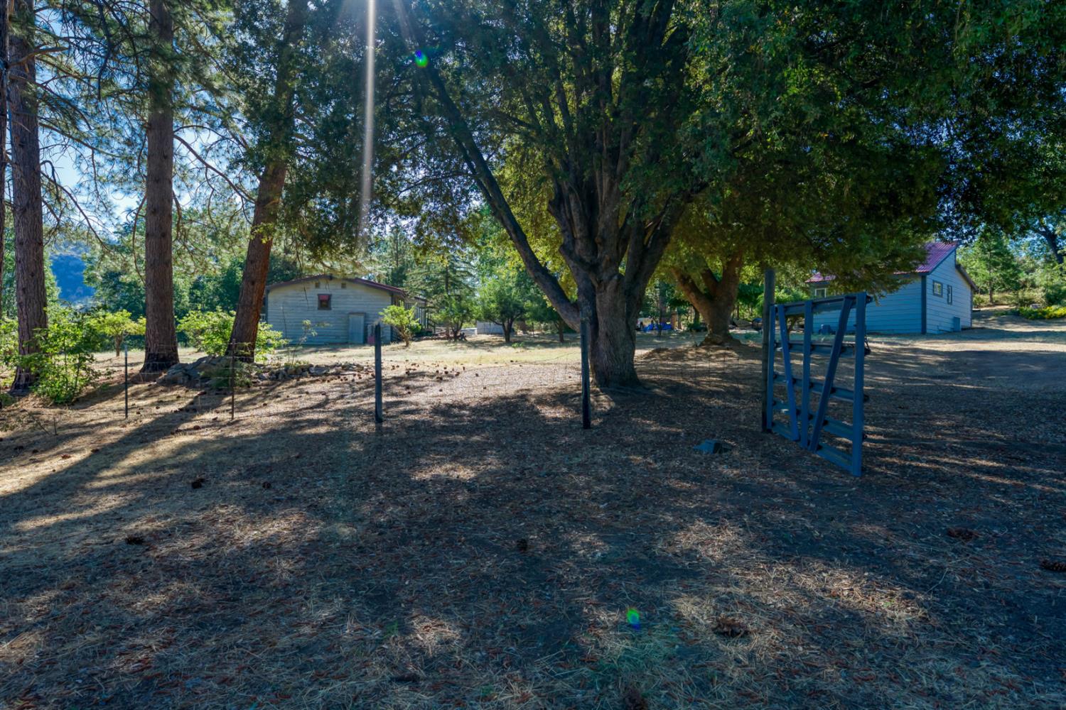 34315 Shaver Springs Rd, Auberry, CA 93602