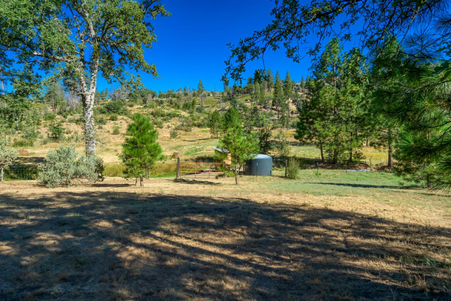 34315 Shaver Springs Rd, Auberry, CA 93602