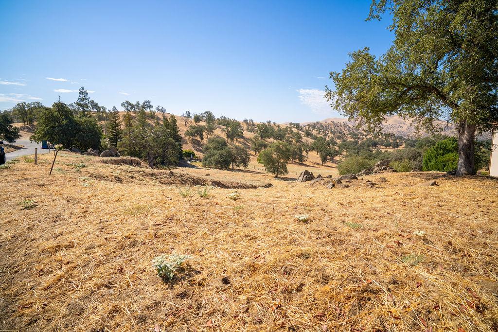 0 Lot 12 Mary Rebecca Ln, Friant, CA 93626