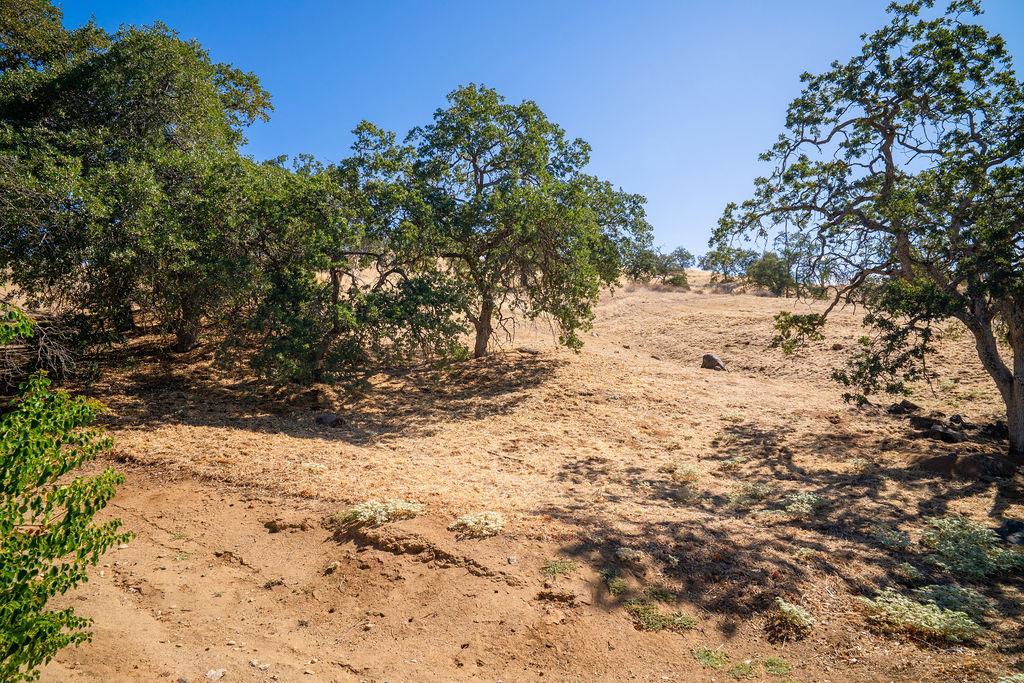 0 Lot 6 May Rebecca Ln, Friant, CA 93626