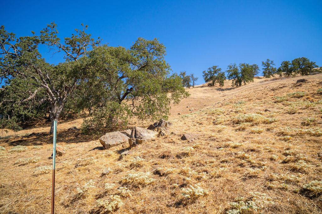 0 Lot 6 May Rebecca Ln, Friant, CA 93626