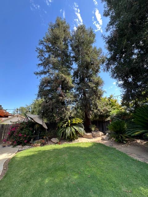 193 N N Laurel Ave, Clovis, CA 93611