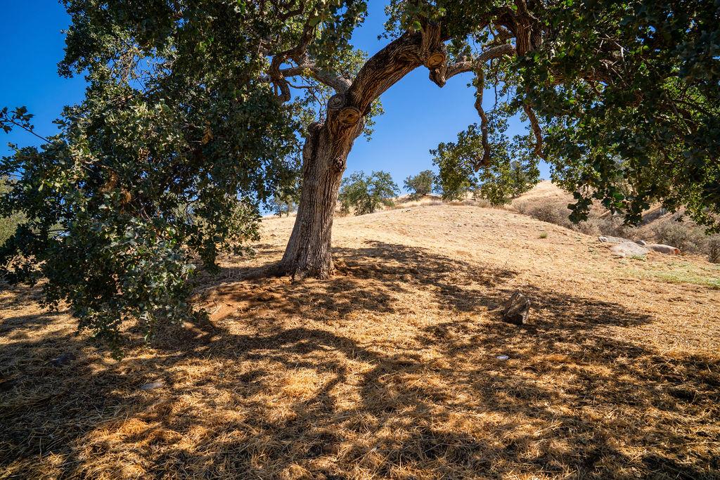 0 Lot 7 Mary Rebecca Ln, Friant, CA 93626