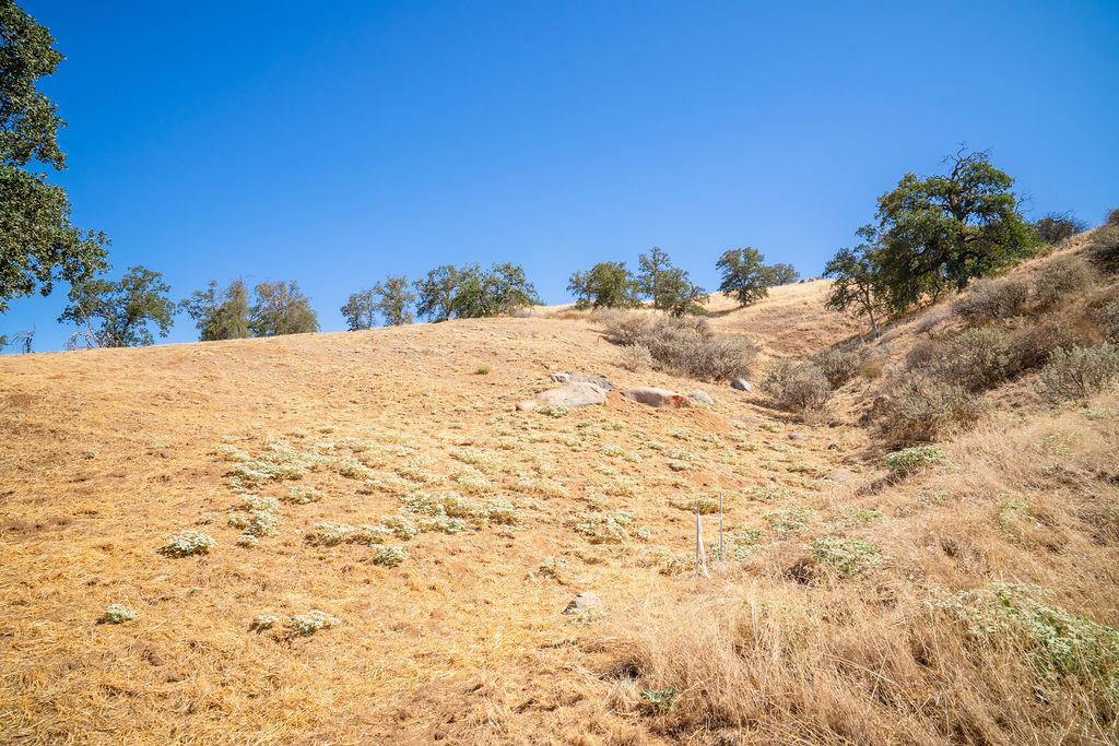 0 Lot 7 Mary Rebecca Ln, Friant, CA 93626