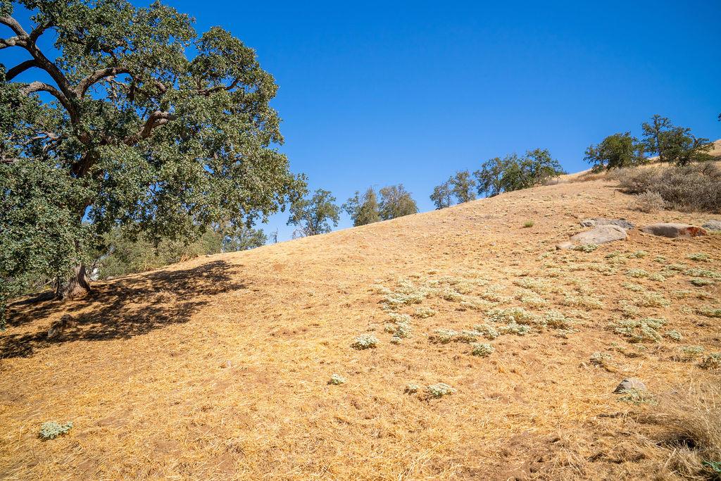 0 Lot 7 Mary Rebecca Ln, Friant, CA 93626