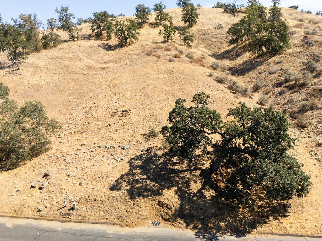 0 Lot 7 Mary Rebecca Ln, Friant, CA 93626