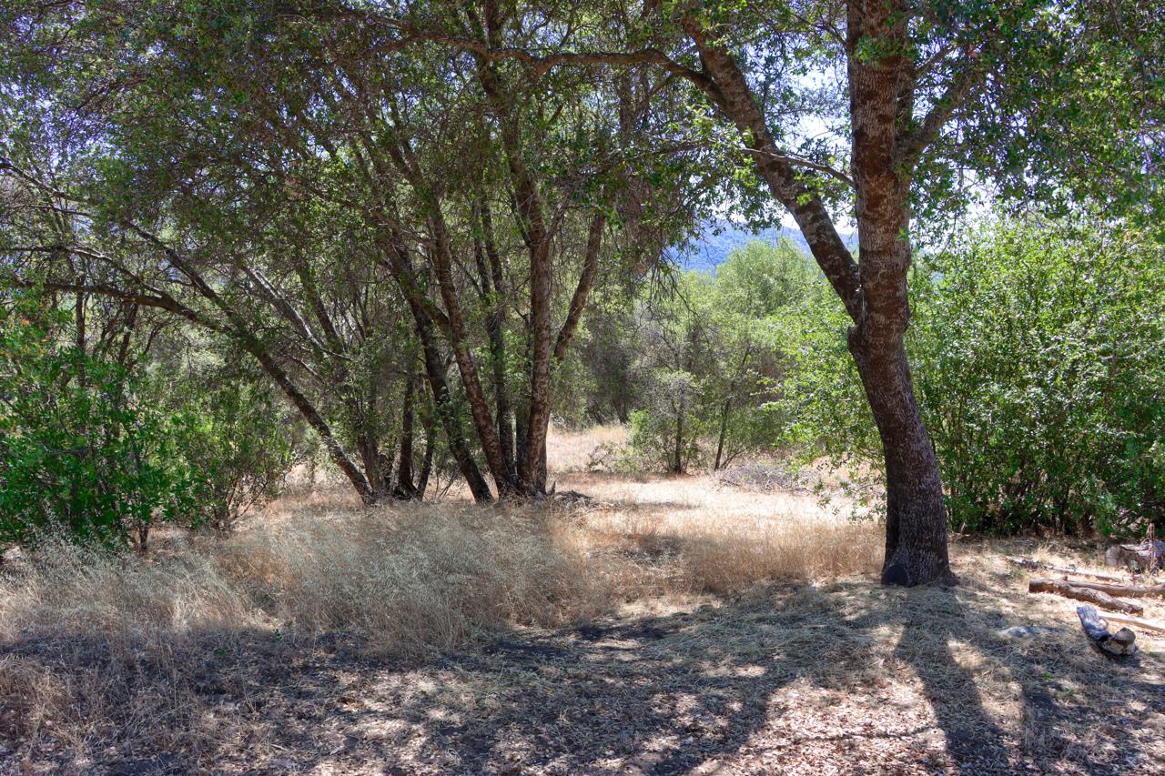 46316 Eastwood Dr S, Oakhurst, CA 93644
