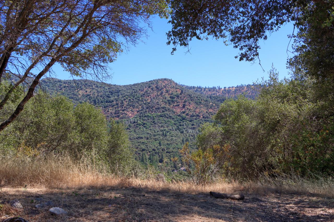 46316 Eastwood Dr S, Oakhurst, CA 93644