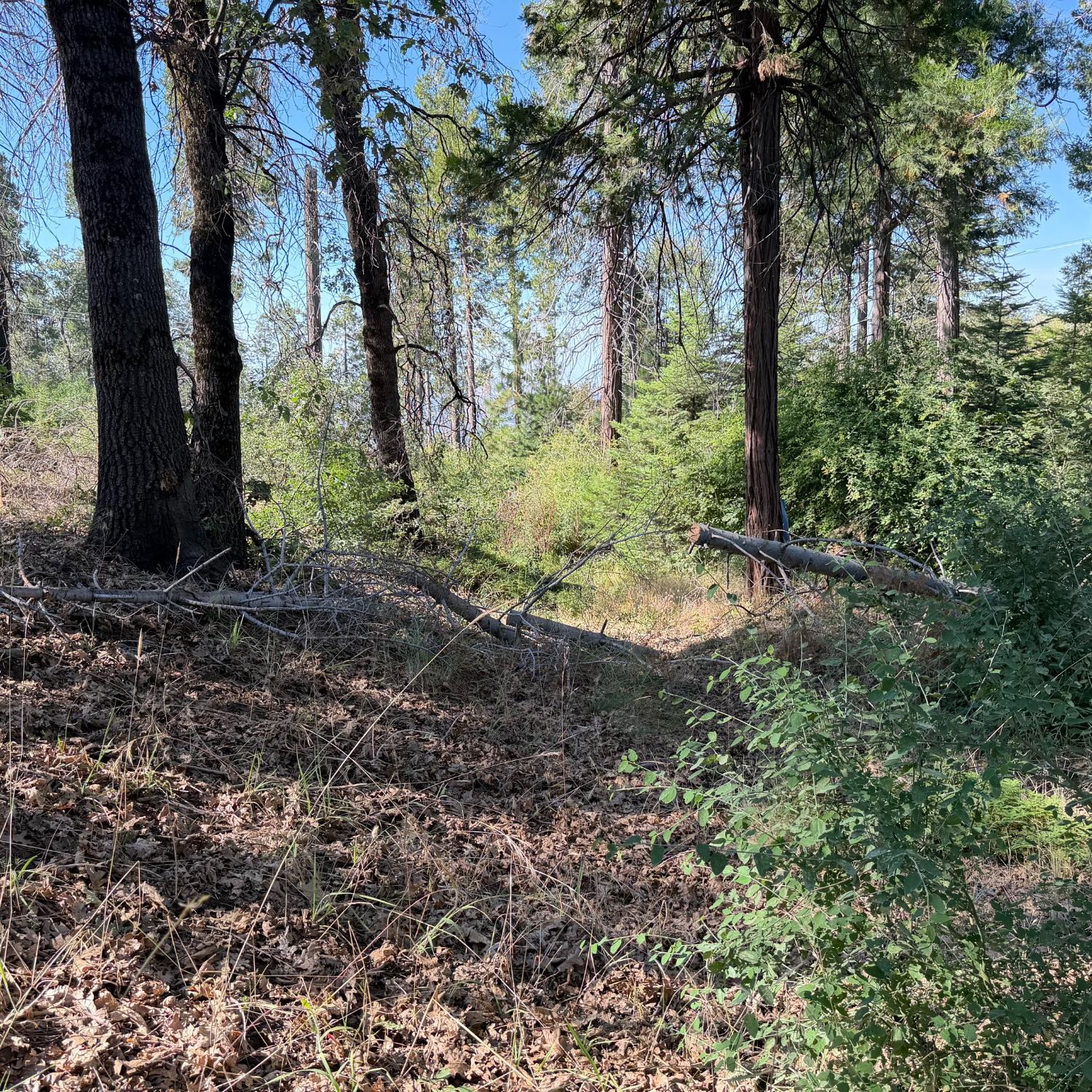 36070 LOWER CRESSMAN Rd, Shaver Lake, CA 93664