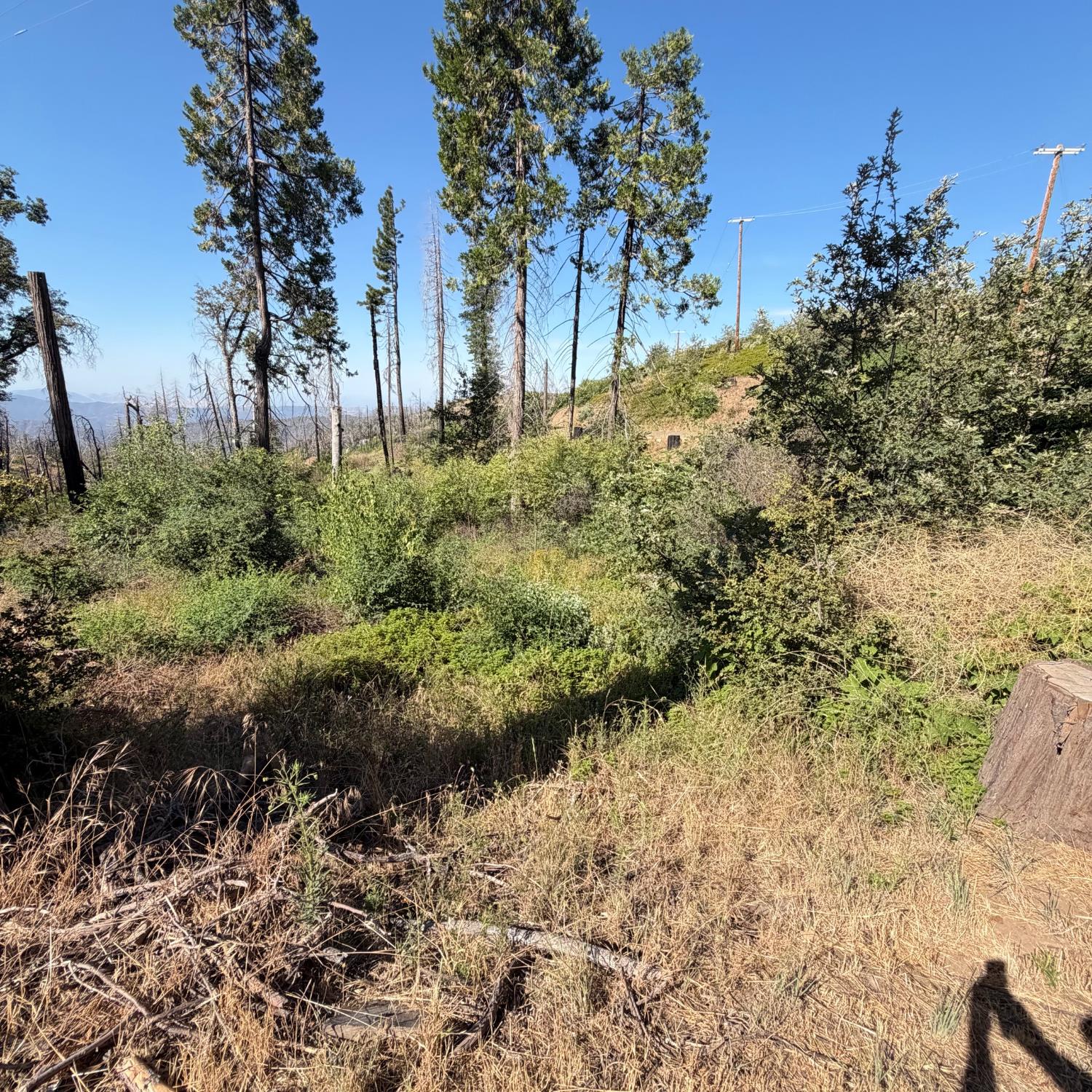36070 LOWER CRESSMAN Rd, Shaver Lake, CA 93664