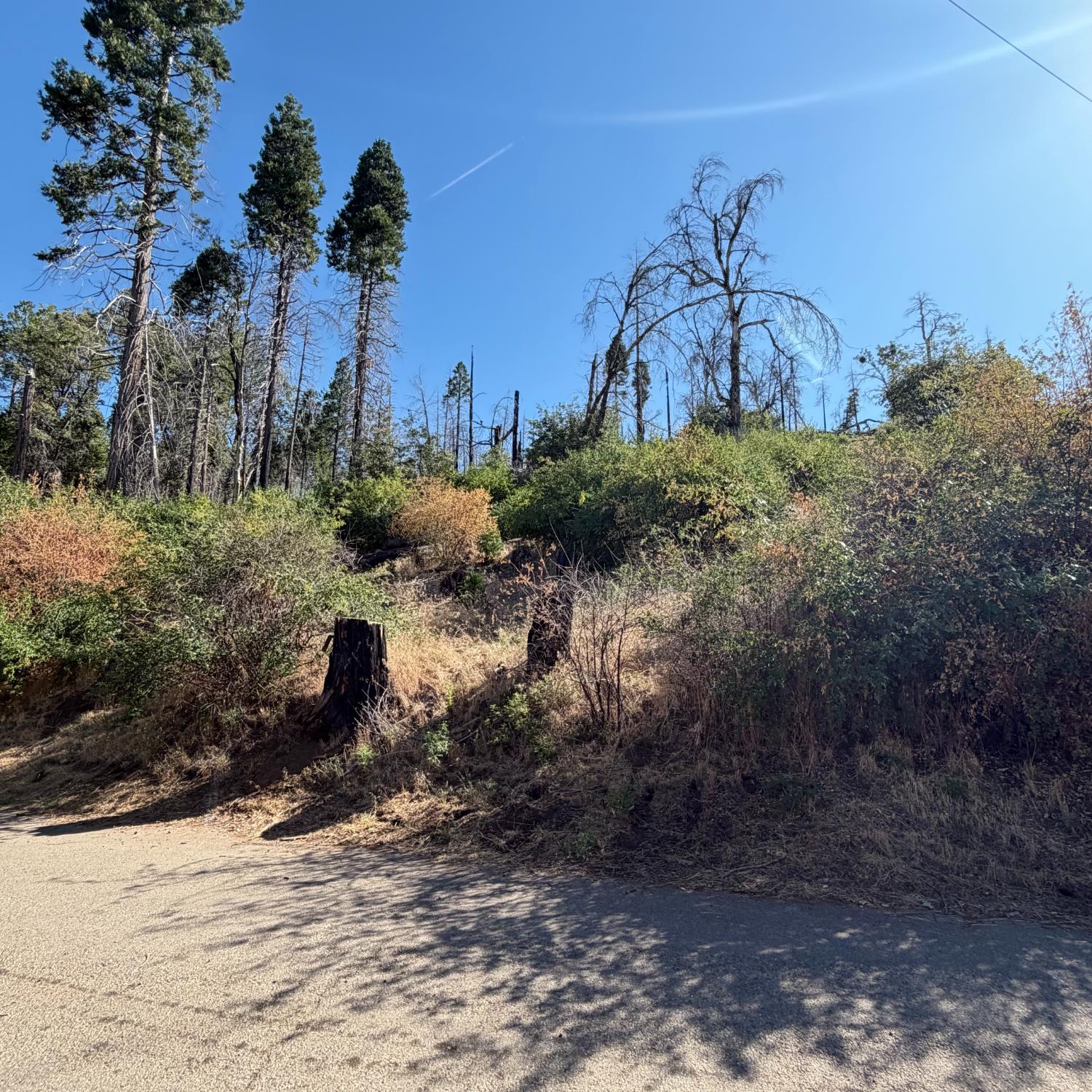 36070 LOWER CRESSMAN Rd, Shaver Lake, CA 93664