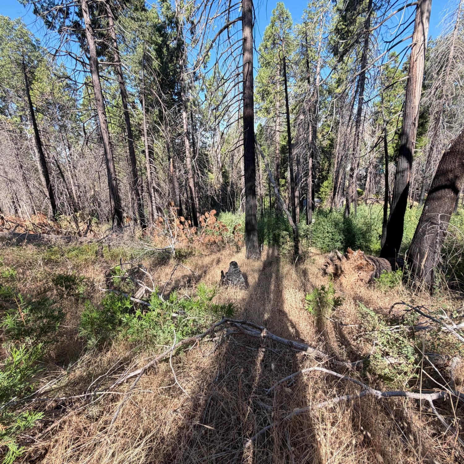 36070 LOWER CRESSMAN Rd, Shaver Lake, CA 93664