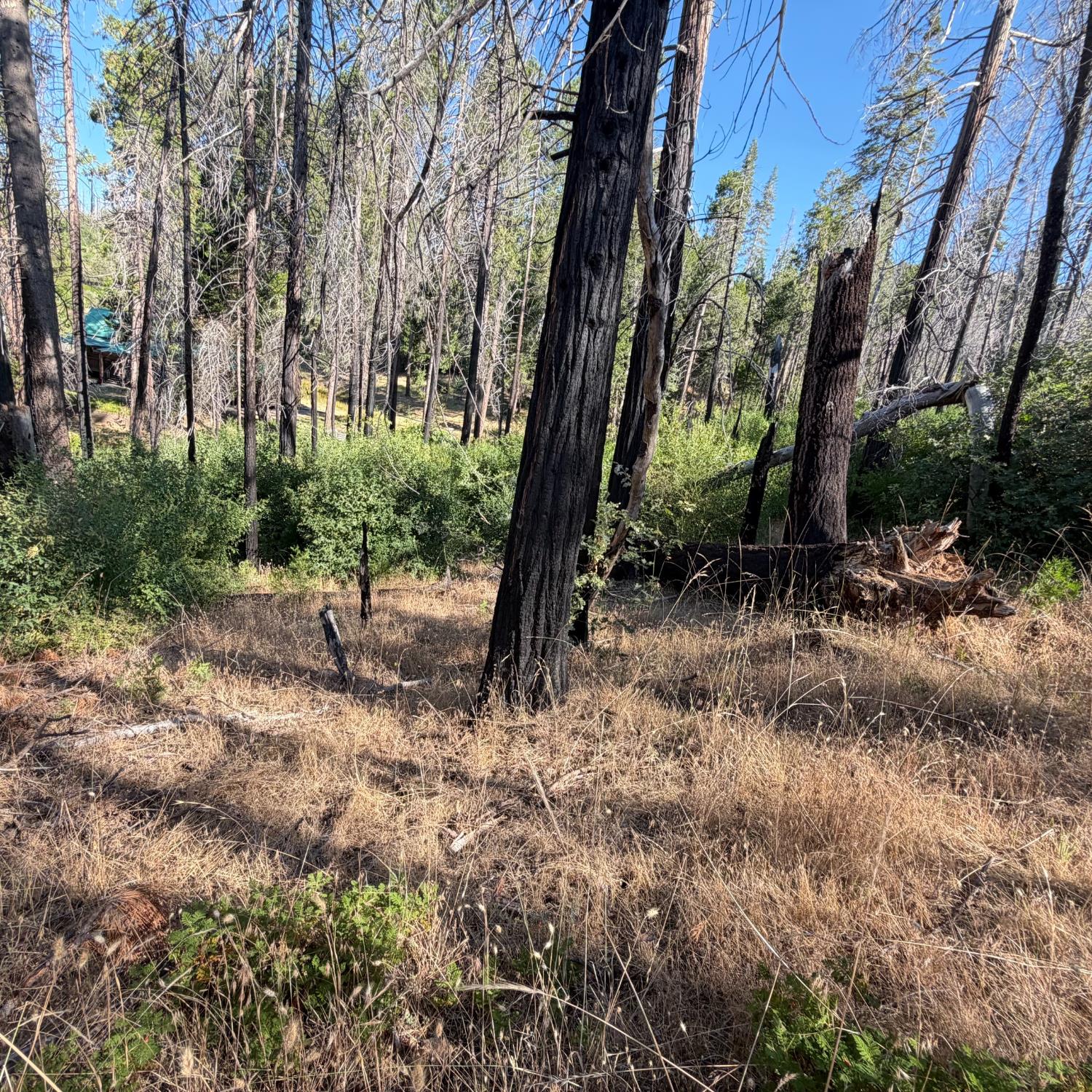 36070 LOWER CRESSMAN Rd, Shaver Lake, CA 93664