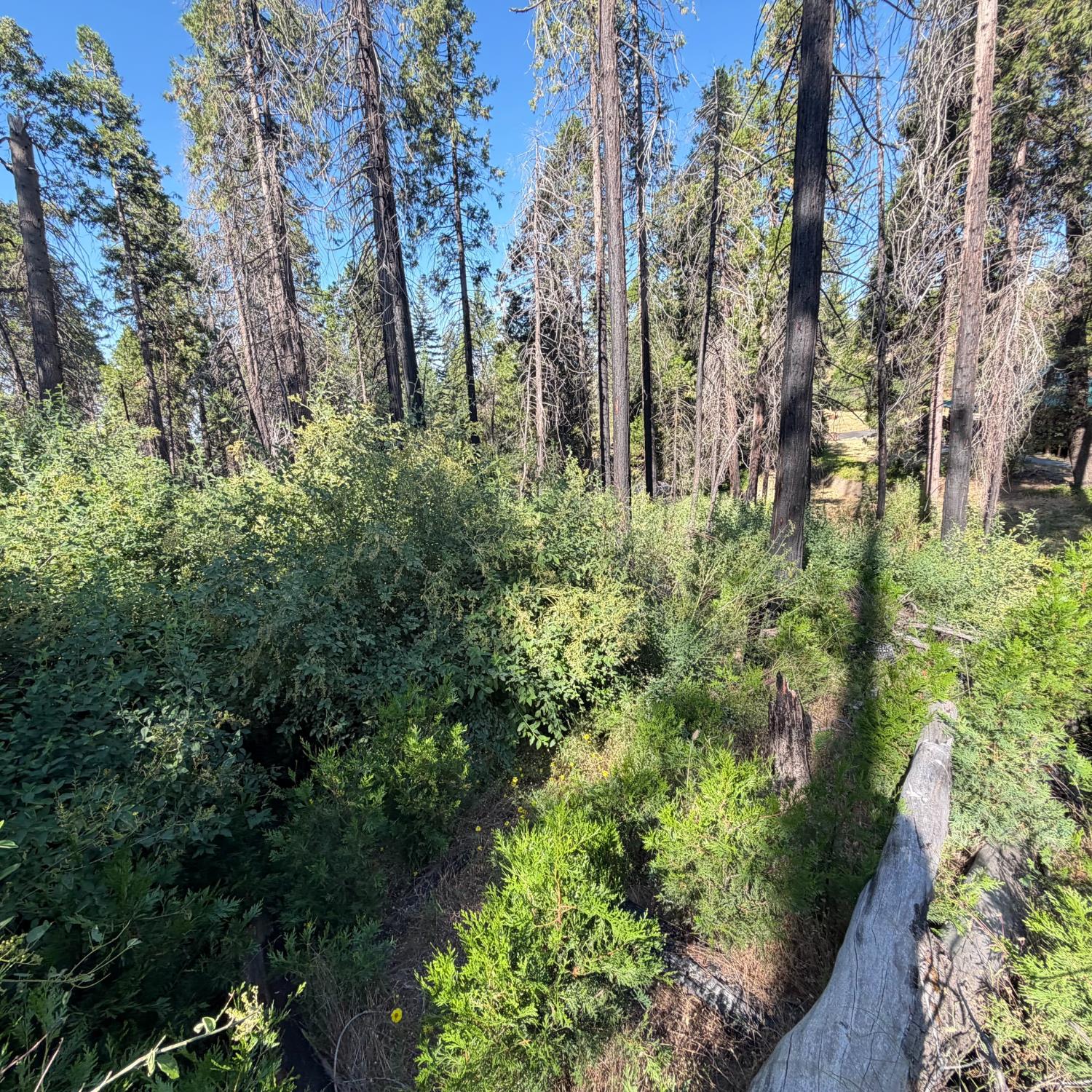 36070 LOWER CRESSMAN Rd, Shaver Lake, CA 93664