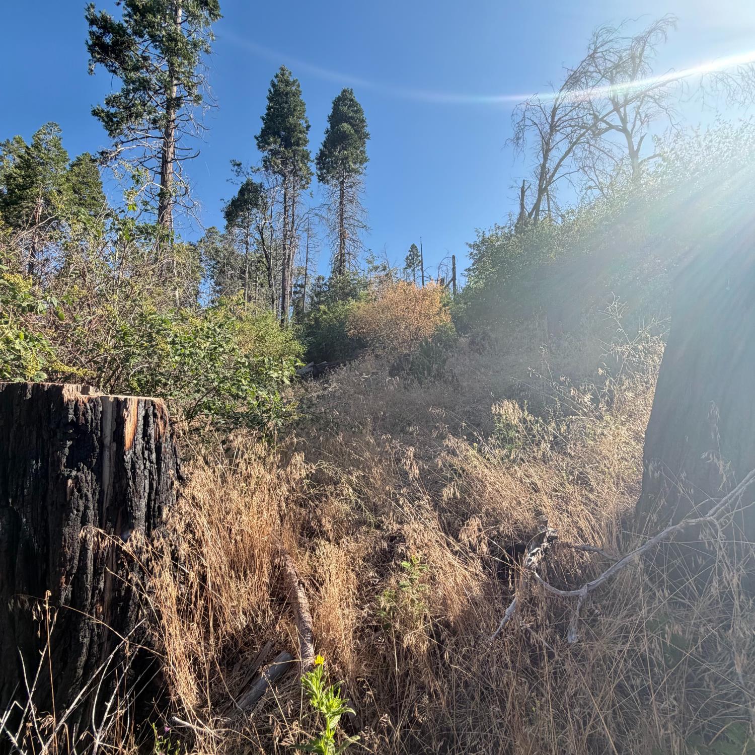 36070 LOWER CRESSMAN Rd, Shaver Lake, CA 93664