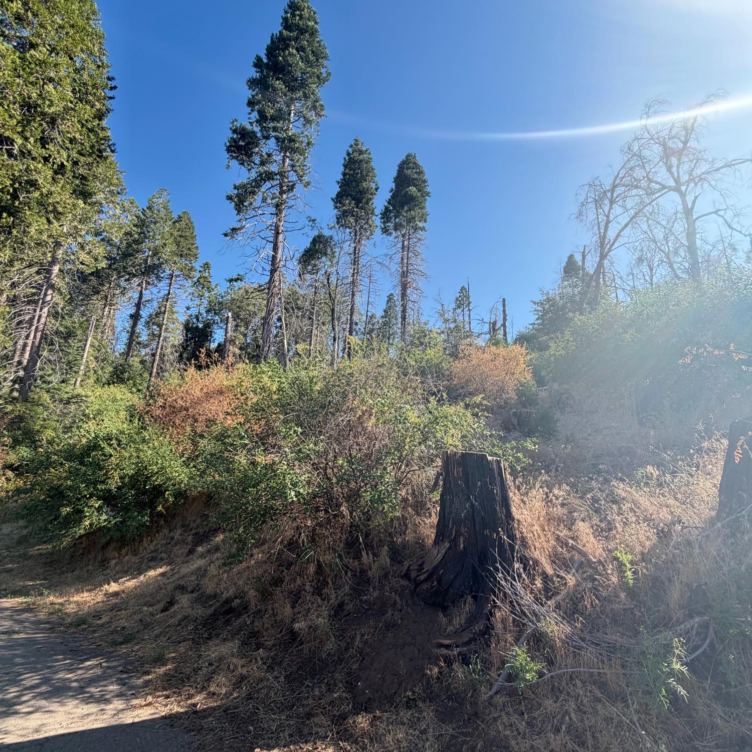 36070 LOWER CRESSMAN Rd, Shaver Lake, CA 93664