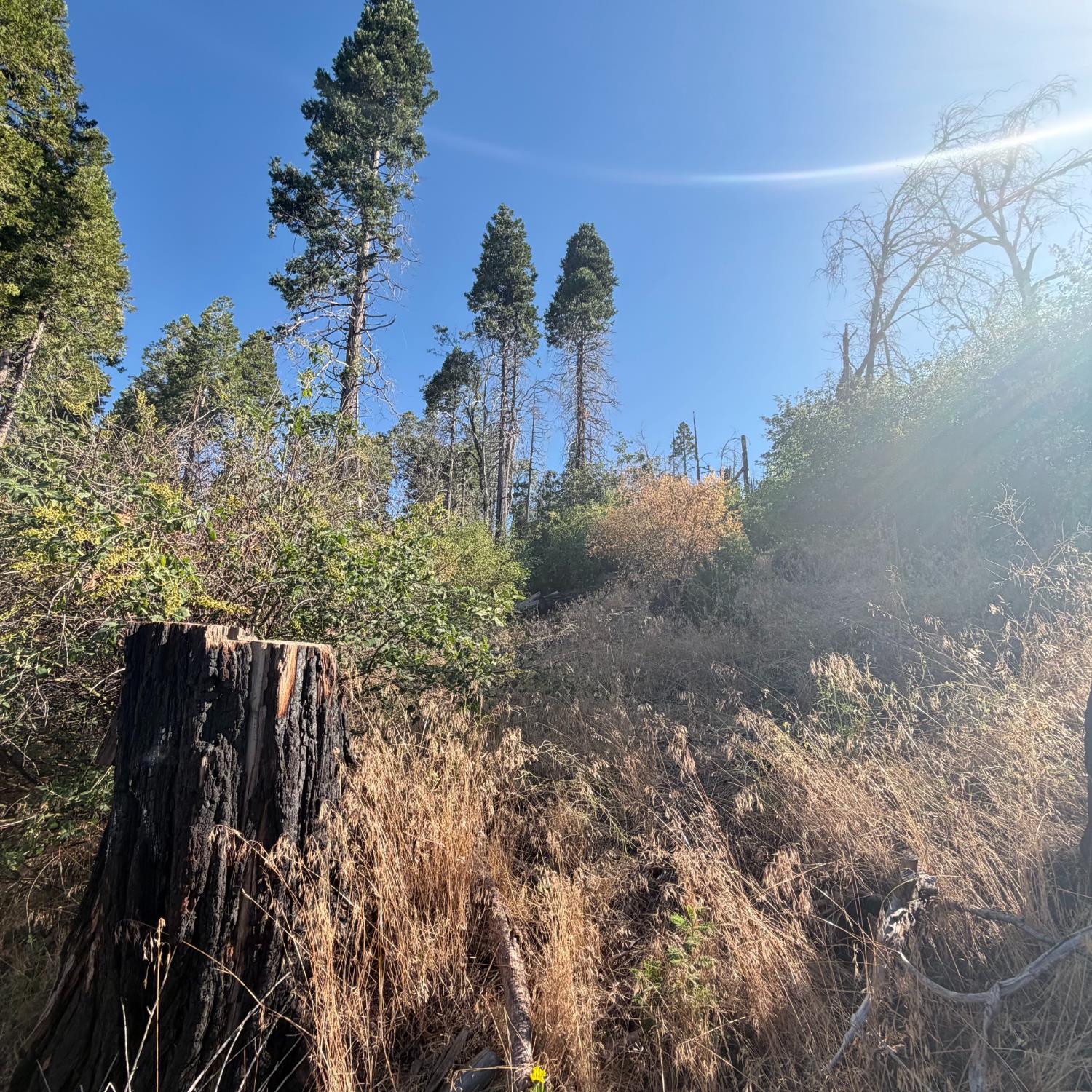 36070 LOWER CRESSMAN Rd, Shaver Lake, CA 93664