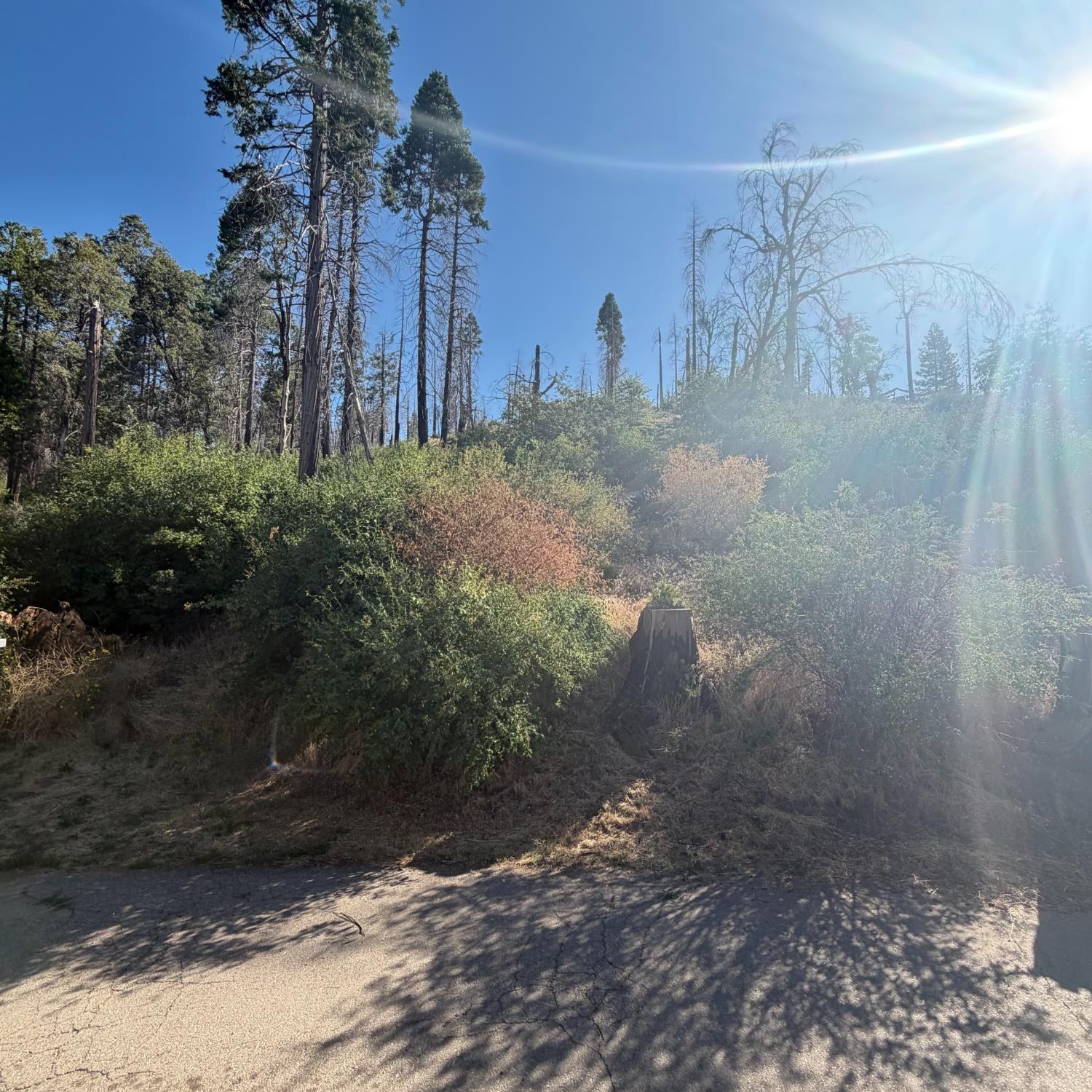 36070 LOWER CRESSMAN Rd, Shaver Lake, CA 93664