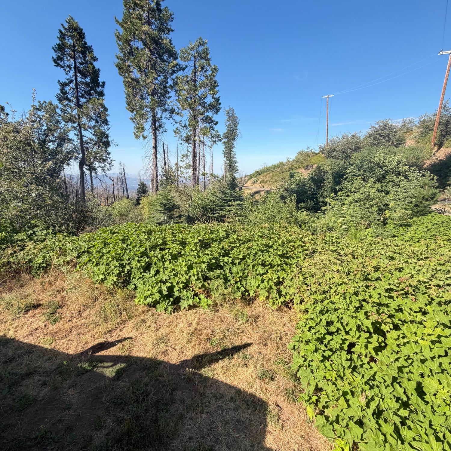 36070 LOWER CRESSMAN Rd, Shaver Lake, CA 93664
