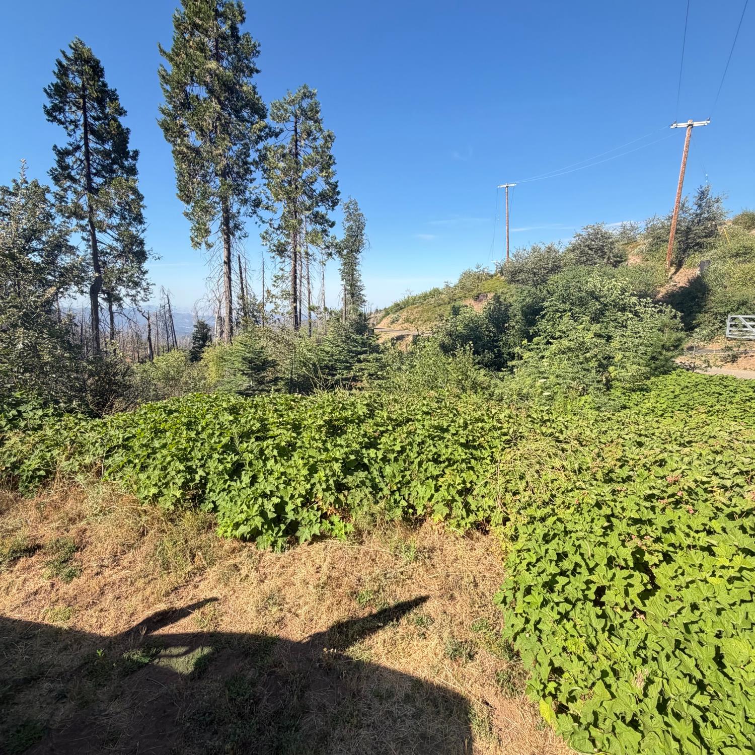36070 LOWER CRESSMAN Rd, Shaver Lake, CA 93664