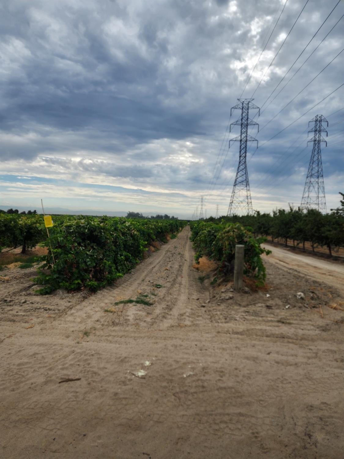 9410 S Fruit Ave, Fresno, CA 93706